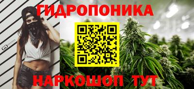 прущий лед Гай