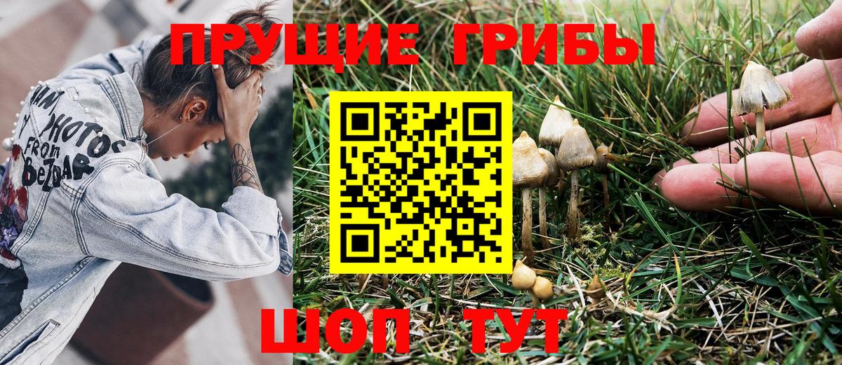 Псилоцибиновые грибы ЛСД  Псилоцибиновые грибы прущие грибы  Вход с VPN  где можно купить   Буйнакск 