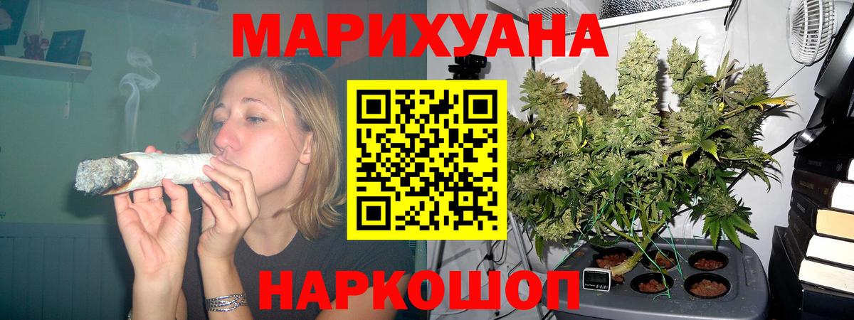 Конопля планчик  Вход с VPN  Буйнакск  Шишки марихуана планчик 